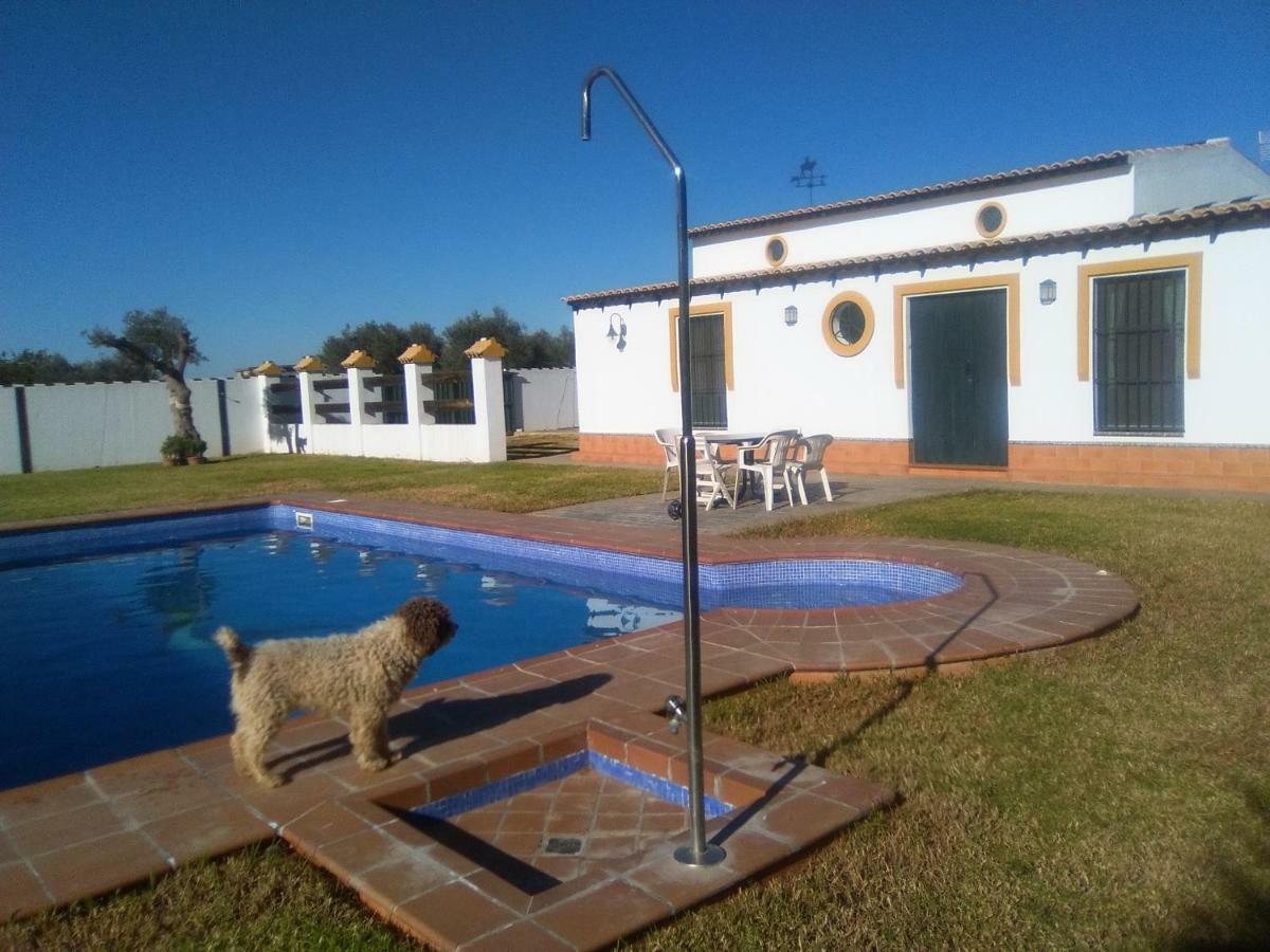 دوس إرماناس Casa Rural Vina Chica المظهر الخارجي الصورة